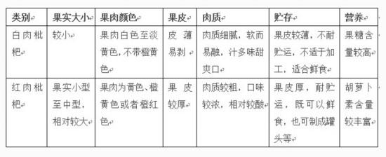 初夏时节水果有四宝 你知道是什么吗？